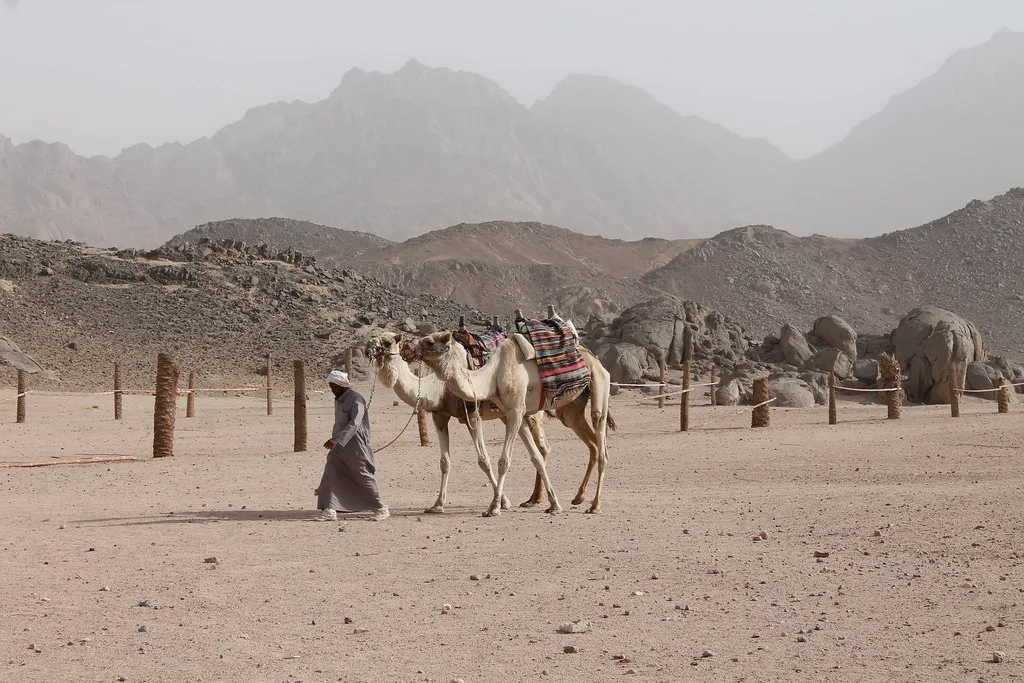 Safaga harbor and waterfront
