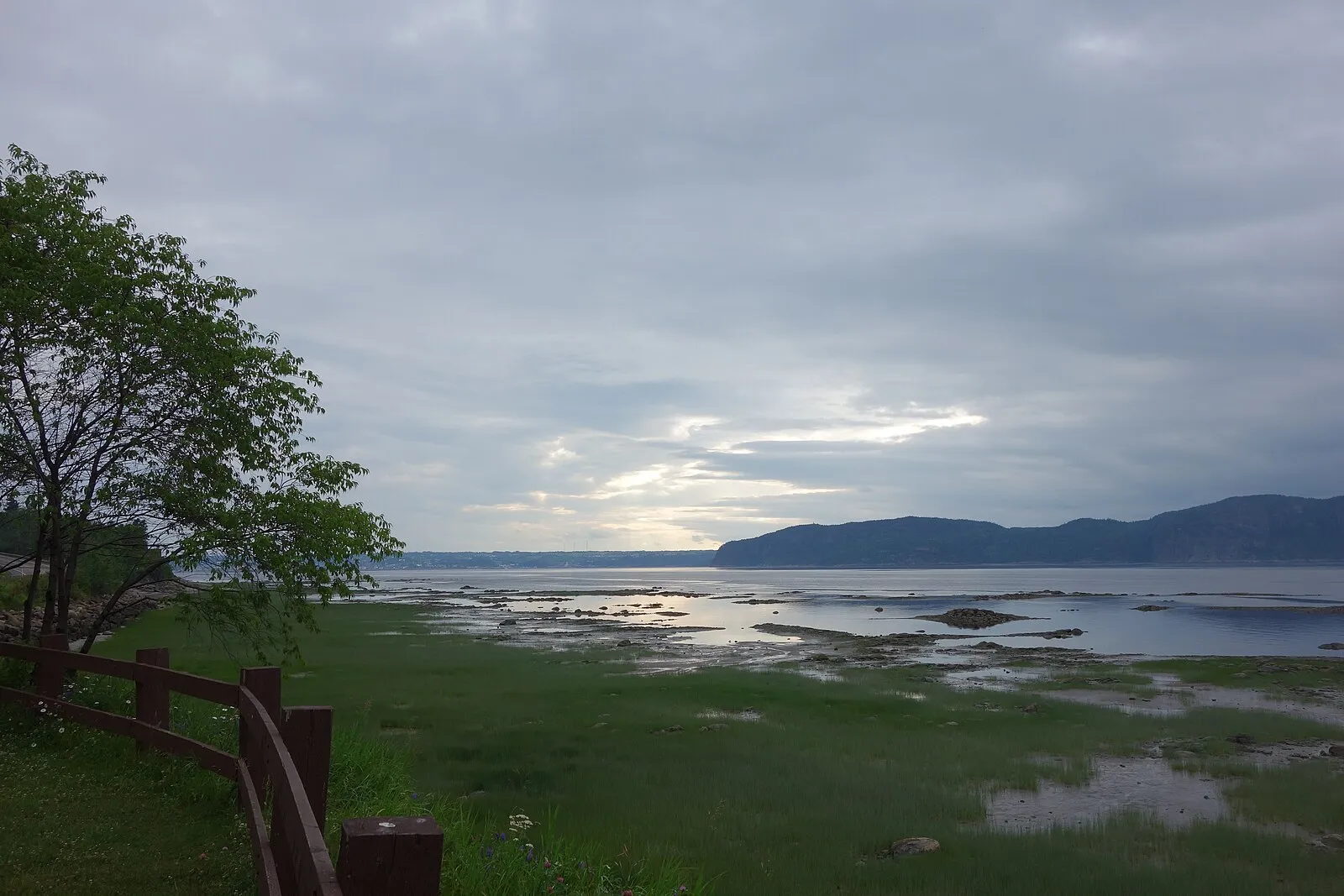 Low-tide shoreline along the Saguenay with mountains in the background