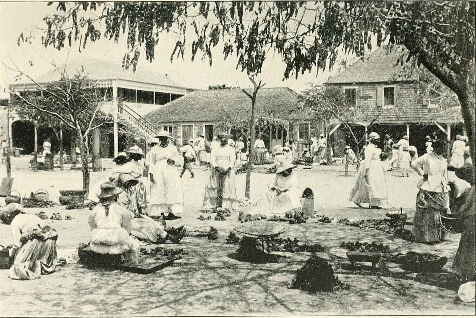 Horseback riders crossing a shallow river on the jungle trail leading to El Limon waterfall in Samana