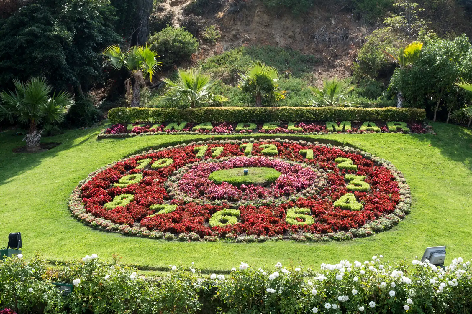 The Reloj de Flores, a working clock face planted with flowers on a grassy slope at Viña del Mar