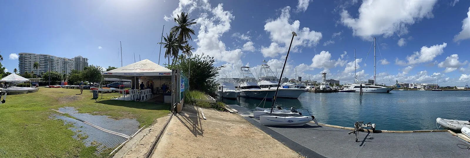 Marina with yachts and palm trees in San Juan, Puerto Rico