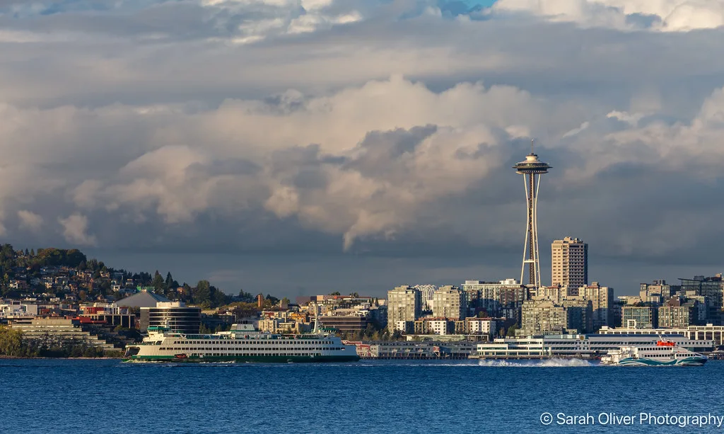 Elliott Bay harbor with Seattle skyline and Mount Rainier in the distance