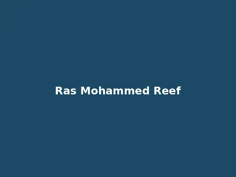 Pristine coral formations at Ras Mohammed National Park with schools of colorful reef fish