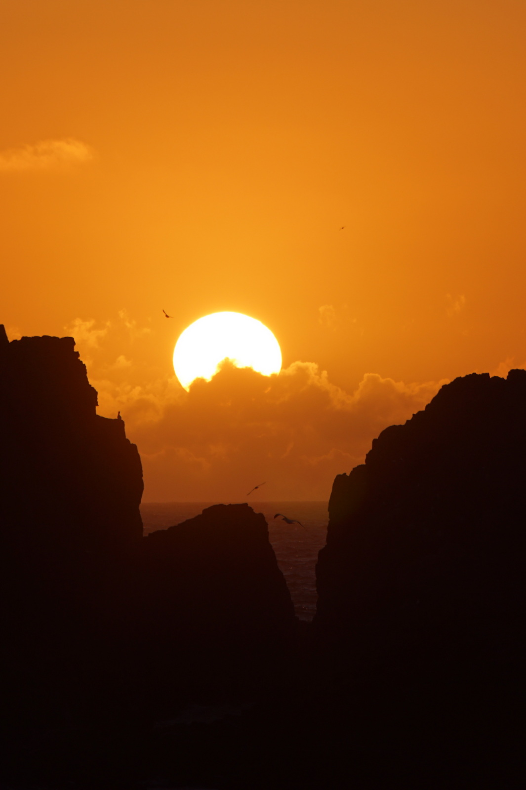Dramatic sunset between dark rocky Antarctic cliffs with seabirds silhouetted