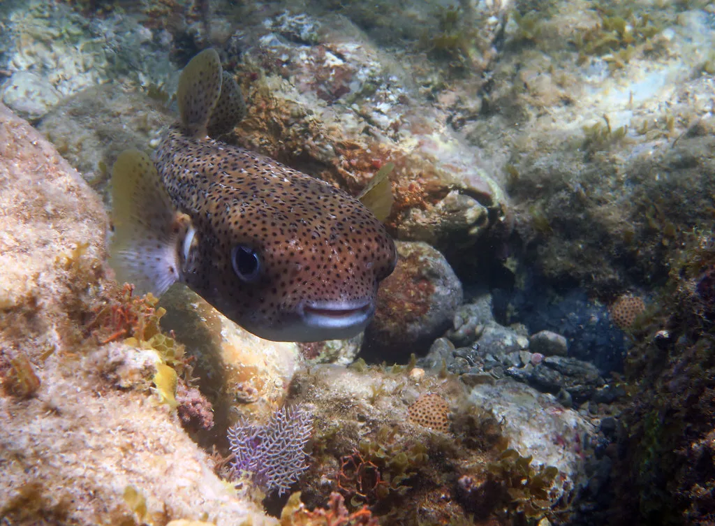 St John Usvi harbor and waterfront