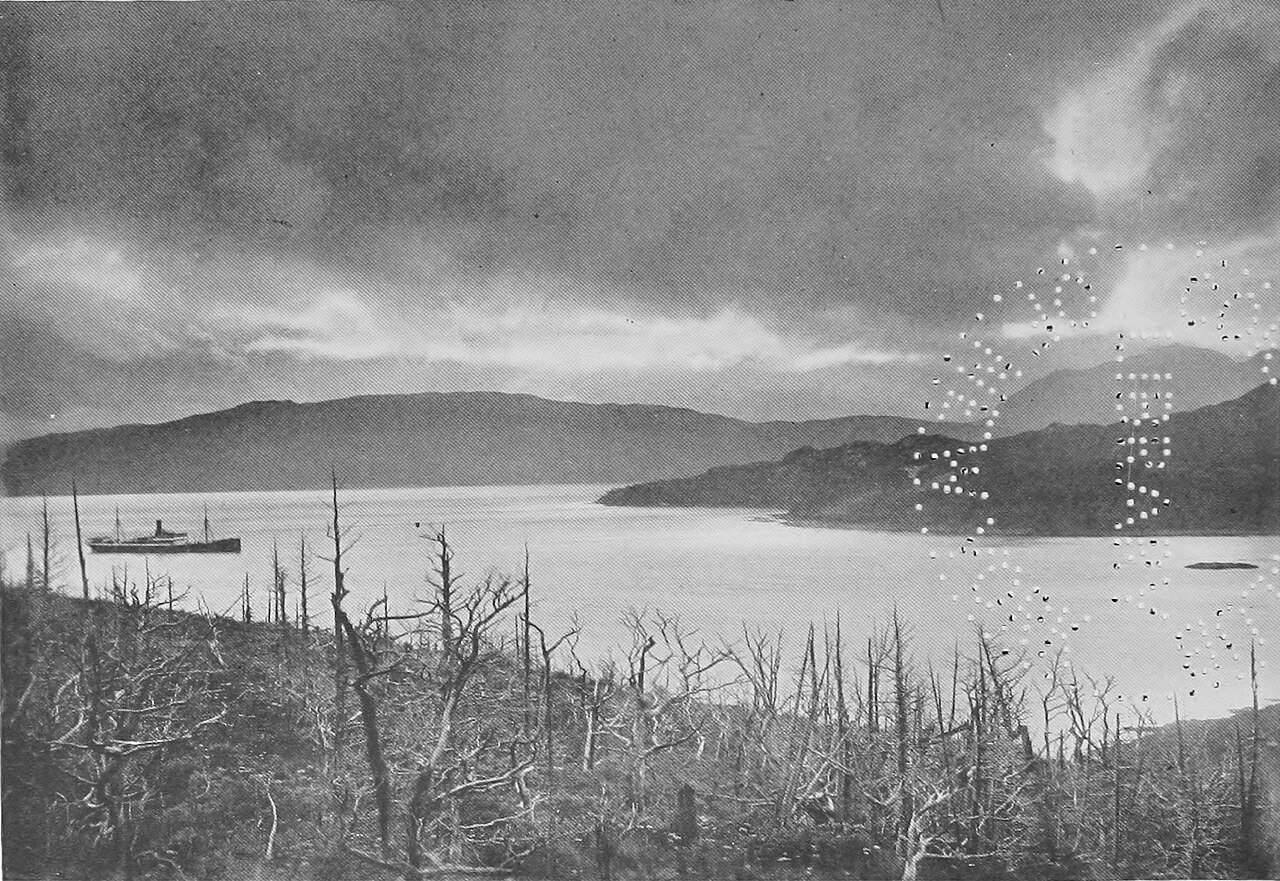 Historical B&W photograph of a steamship in a Patagonian channel with dead trees in foreground