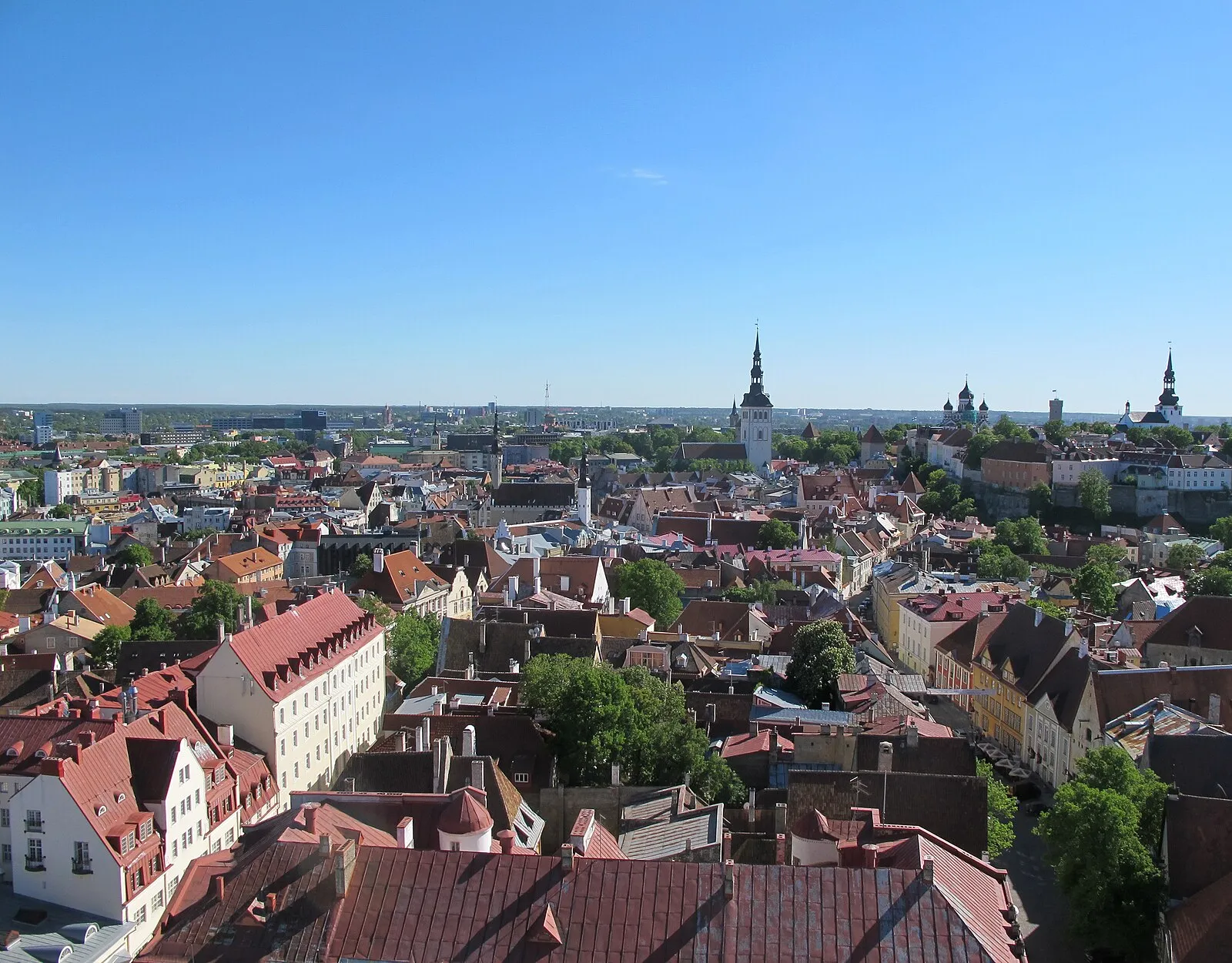 Tallinn Old Town aerial view in summer with red rooftops and church spires