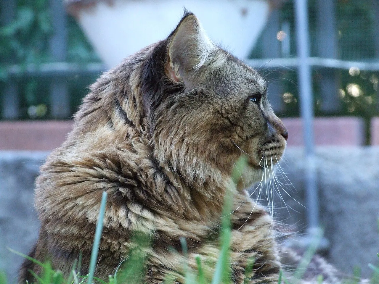 Taormina harbor view