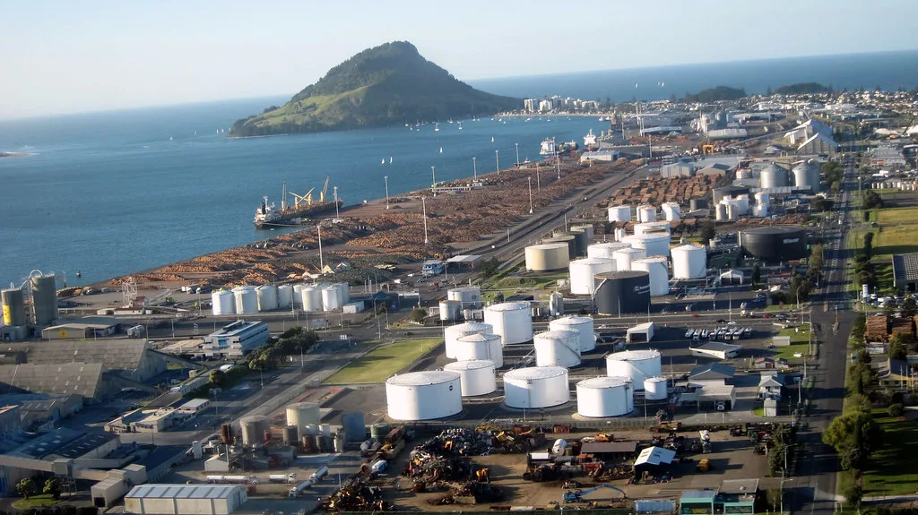 Local cuisine in Tauranga
