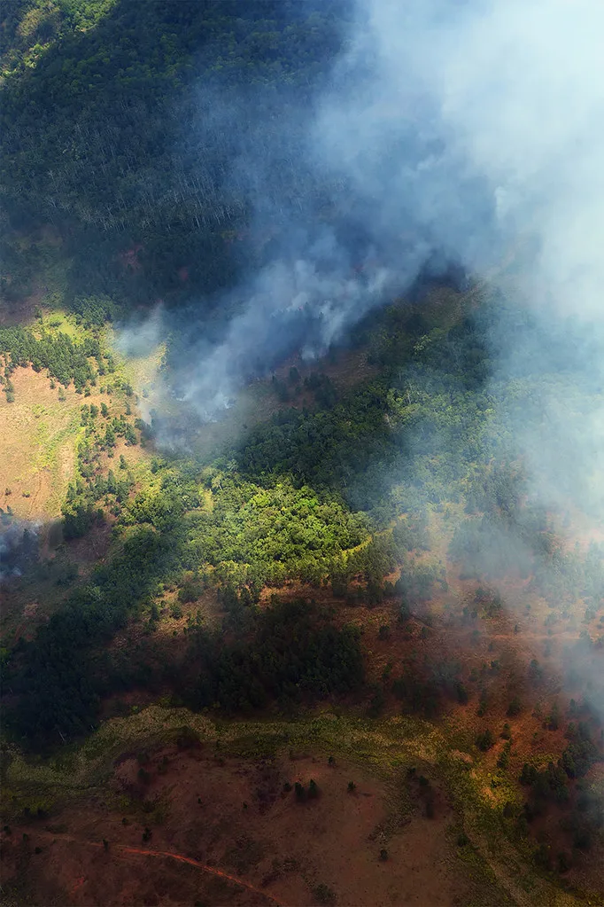 Street scene in Tonga