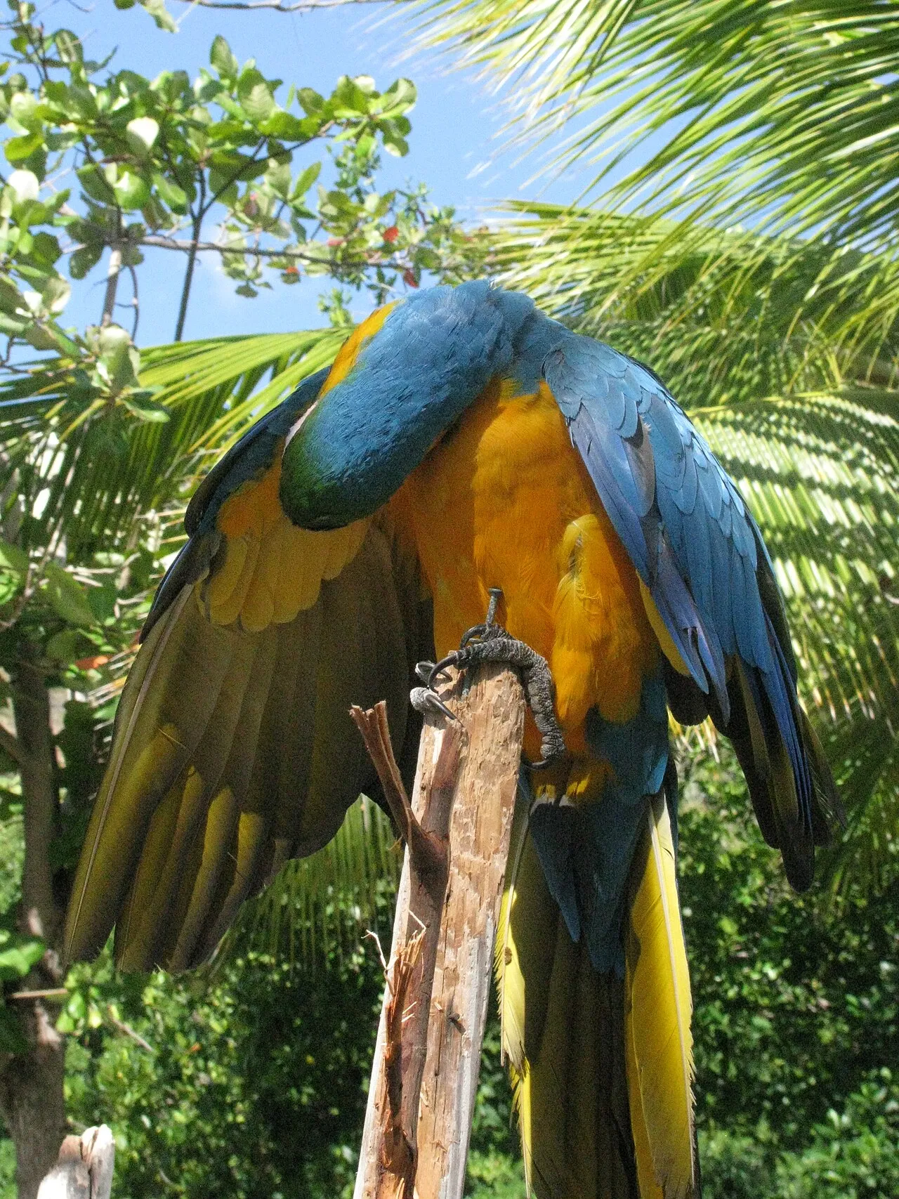 Road Town harbor in Tortola with sailboats anchored in turquoise water and green hills rising behind the waterfront