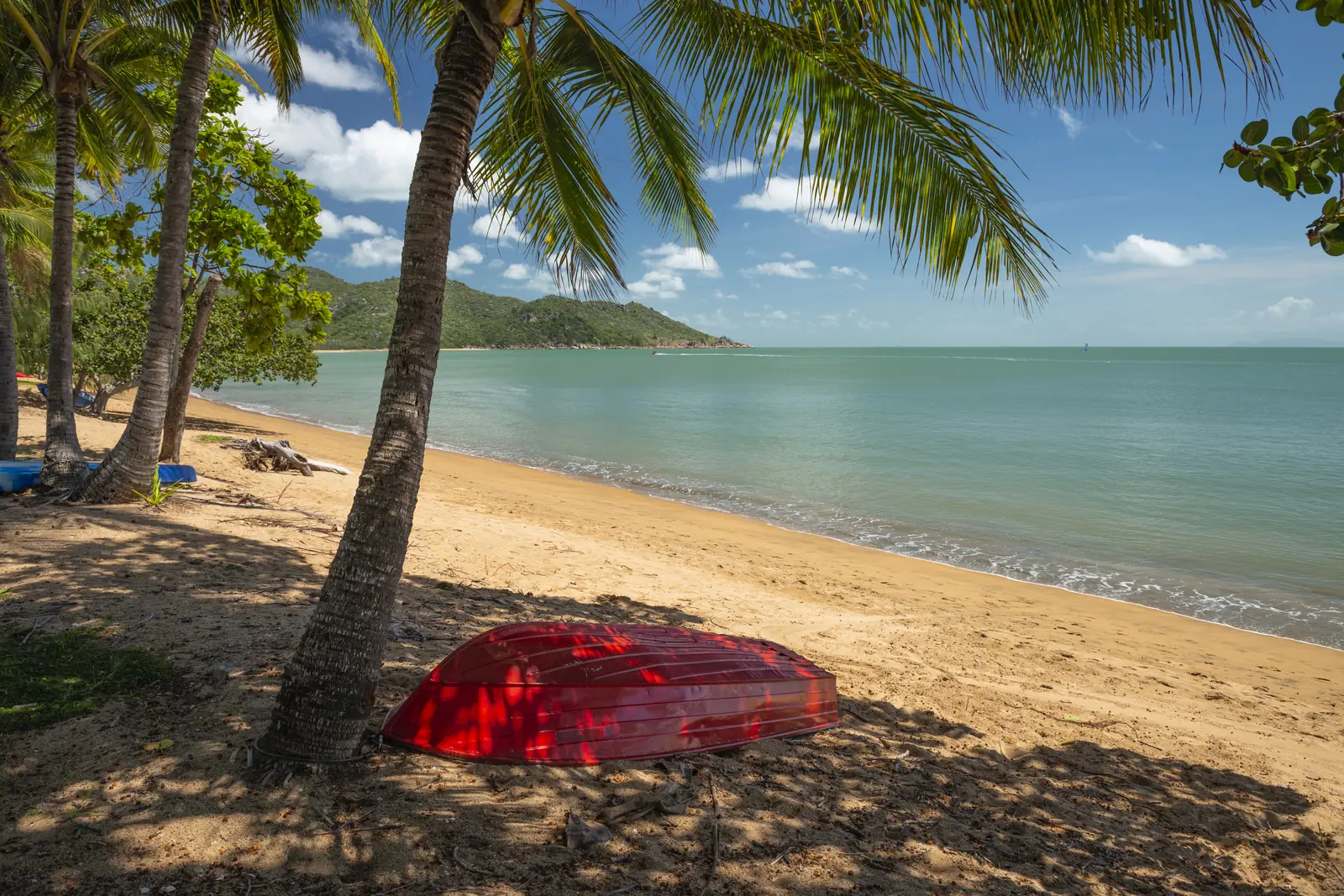 The curving yellow sand of Horseshoe Bay on Magnetic Island under leaning coconut palms, with an upturned red dinghy in the foreground