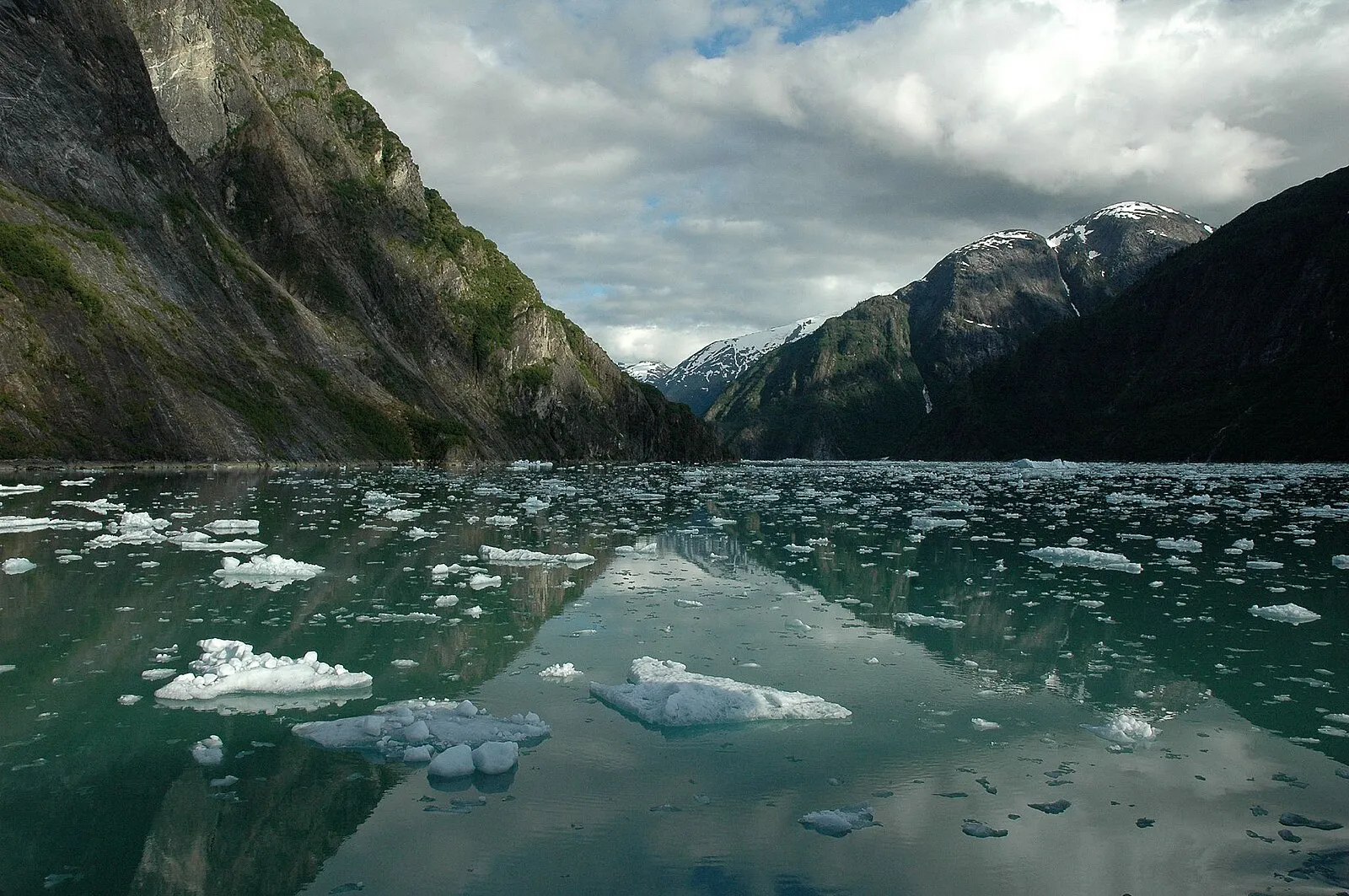 Narrow passage of Tracy Arm with steep granite walls
