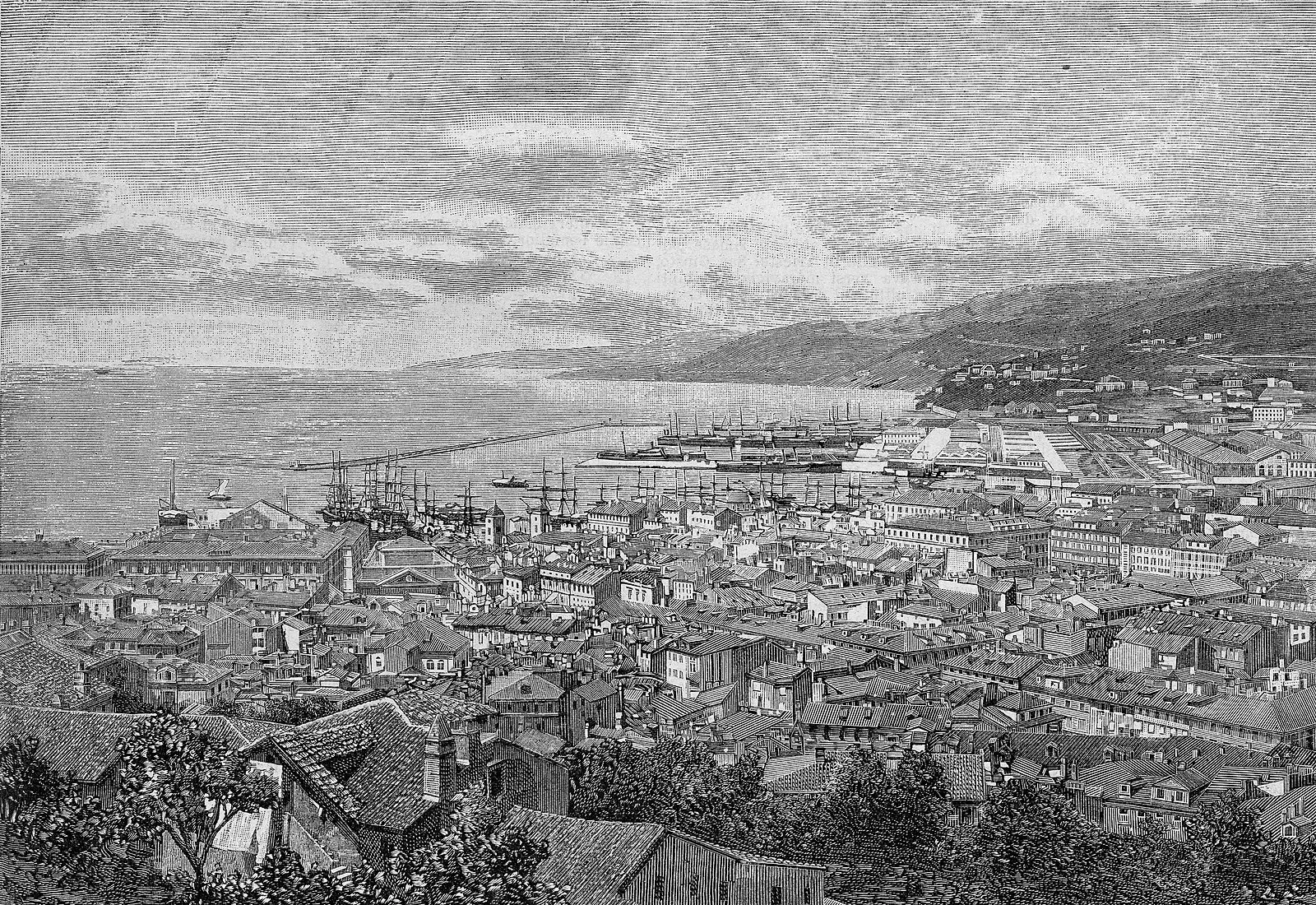 Historical engraving of Trieste showing the city and harbor from the hillside with ships in port