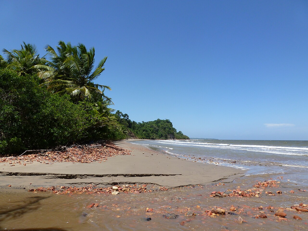 Chatham Beach on Trinidad's south coast with palm trees, red clay shoreline, and the Columbus Channel toward Venezuela