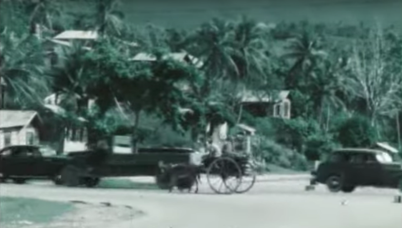 Donkey and cart on a road with vehicles in Port of Spain, Trinidad, 1949