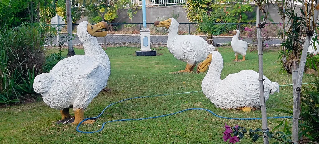 Tristan Da Cunha cultural highlight