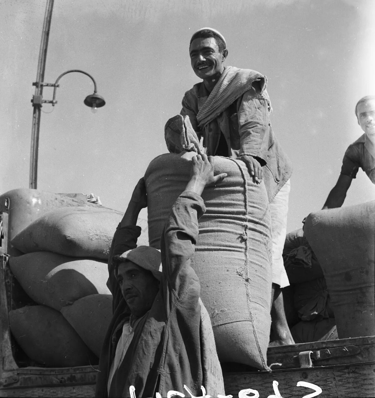 Tunis panoramic view