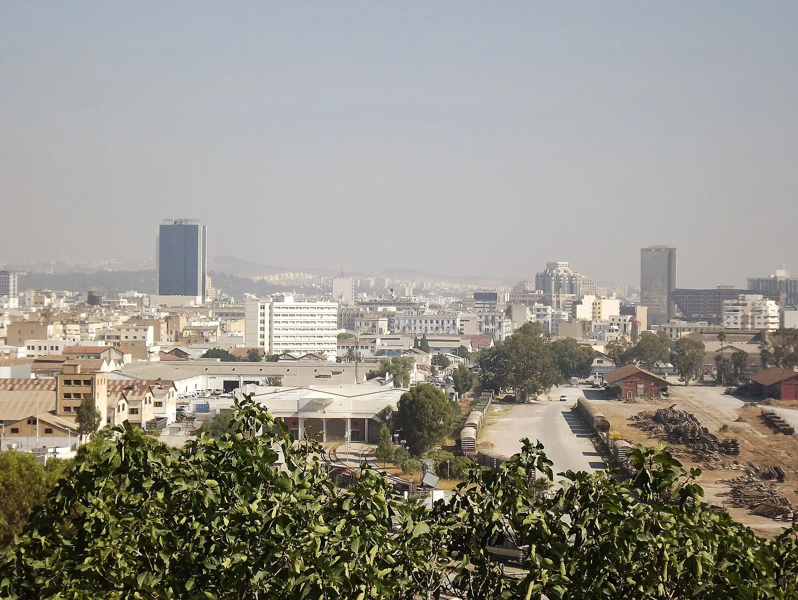 Tunis city panorama from elevated viewpoint showing modern skyline and rooftops