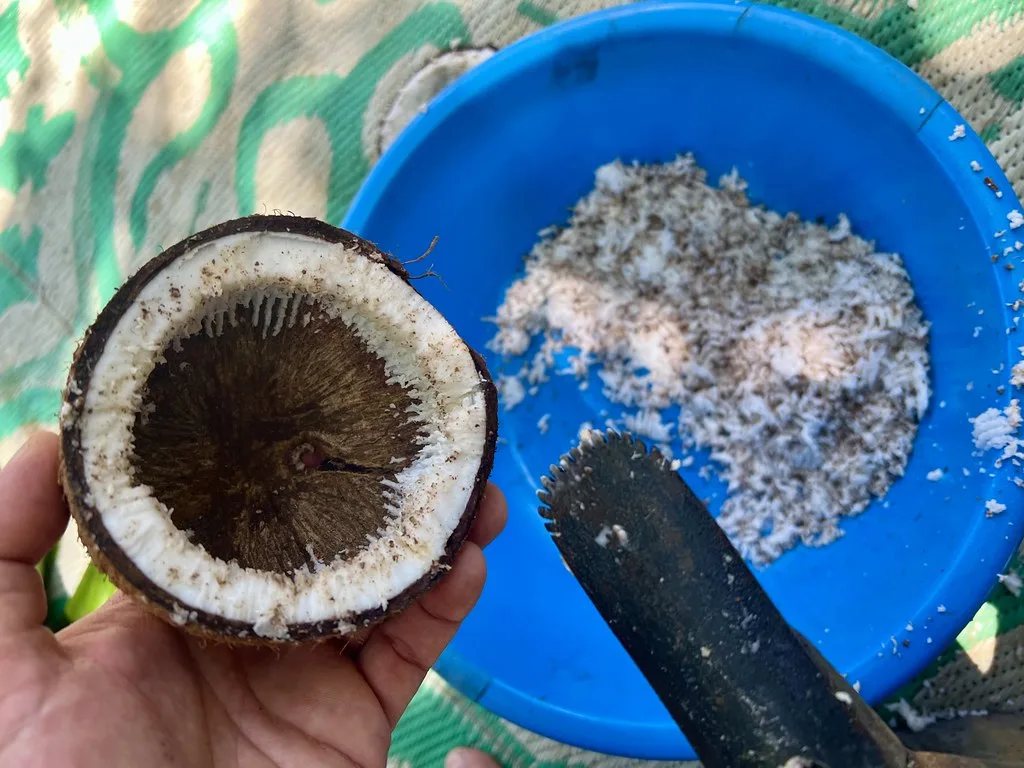 Vanuatu cultural highlight