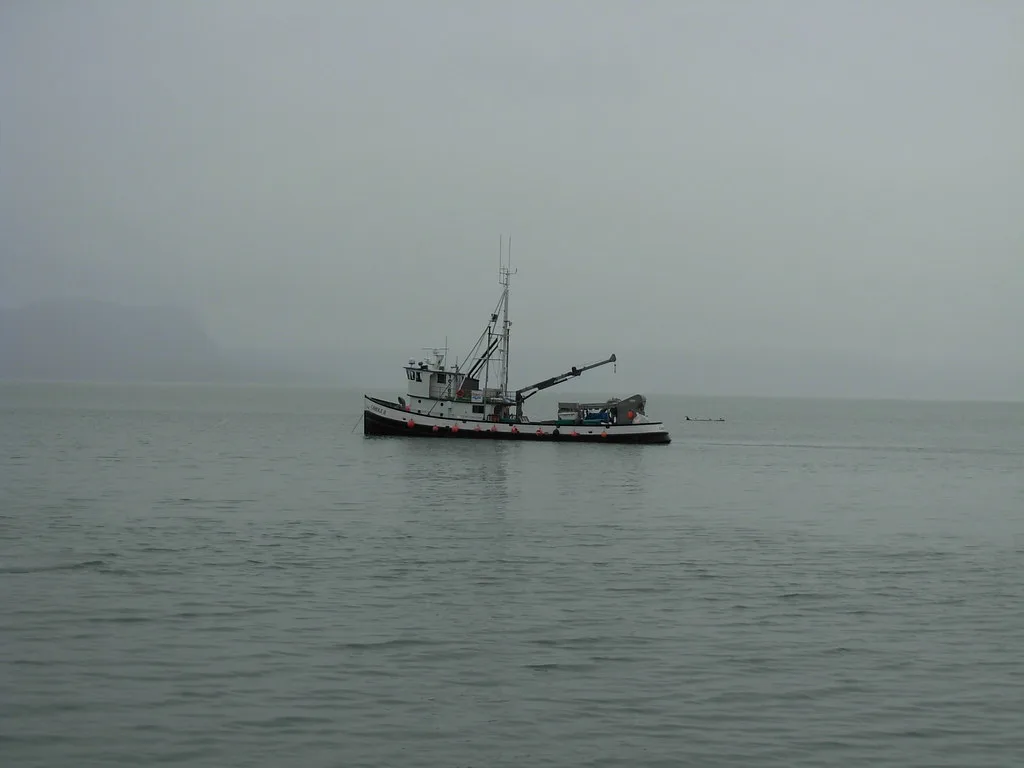 View from the water approaching Wrangell with mountains and forest