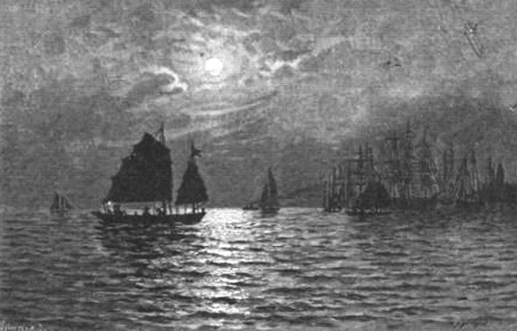 Pelicans perched on fishing boats in the bay