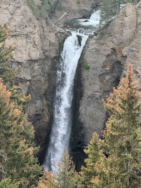 Sunrise over the Grand Canyon of the Yellowstone, captured by Flickers of Majesty — a reminder of America’s vast, God-carved beauty.
